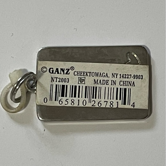 GANZ Kids Name Tag Charm ID Backpack Pull "AARON" - Picture 3 of 3